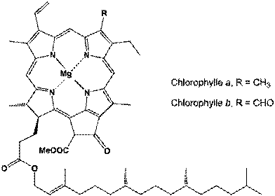 http://www.societechimiquedefrance.fr/IMG/png/Chlorophyllesa_b-red.png